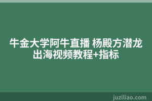 牛金大学阿牛直播 杨殿方潜龙出海视频教程+指标