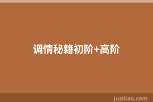 调情秘籍初阶+高阶