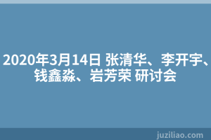 2020年3月14日 张清华、李开宇、钱鑫淼、岩芳荣 研讨会