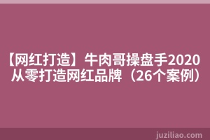 【网红打造】牛肉哥操盘手2020从零打造网红品牌（26个案例）