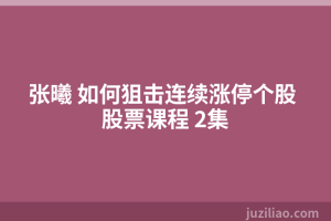 张曦 如何狙击连续涨停个股 股票课程 2集