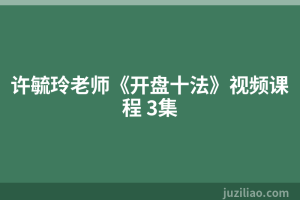 许毓玲老师《开盘十法》视频课程 3集