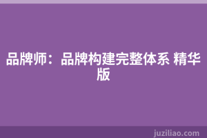 品牌师：品牌构建完整体系 精华版