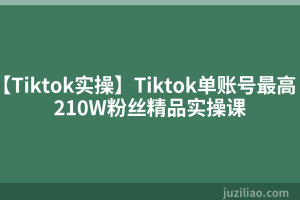 【Tiktok实操】Tiktok单账号最高210W粉丝精品实操课