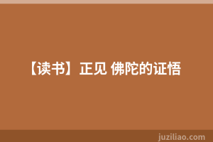 【读书】正见 佛陀的证悟