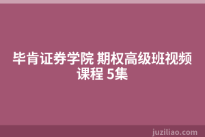 毕肯证券学院 期权高级班视频课程 5集