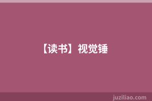【读书】视觉锤