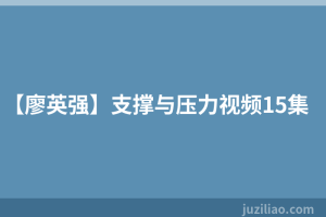 【廖英强】支撑与压力视频15集