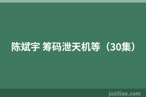 陈斌宇 筹码泄天机等（30集）