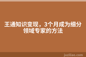 王通知识变现，3个月成为细分领域专家的方法