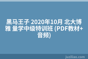 黑马王子 2020年10月 北大博雅 量学中级特训班 (PDF教材+音频)