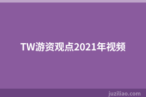 TW游资观点2021年视频