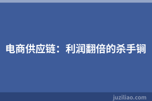 电商供应链：利润翻倍的杀手锏