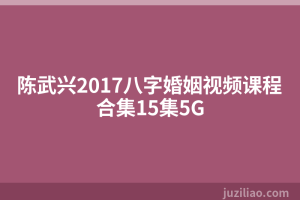 陈武兴2017八字婚姻视频课程合集15集5G