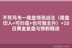 不死鸟韦一尾盘领涨战法（尾盘切入+可抄底+也可做主升）+10日黄金复盘与铁粉精进