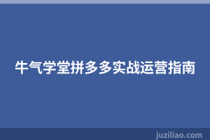 牛气学堂拼多多实战运营指南