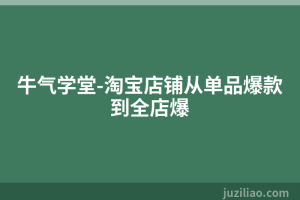 牛气学堂-淘宝店铺从单品爆款到全店爆