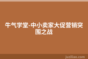 牛气学堂-中小卖家大促营销突围之战