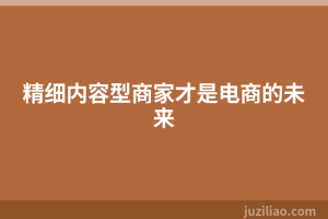 精细内容型商家才是电商的未来