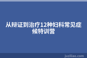 从辩证到治疗12种妇科常见症候特训营