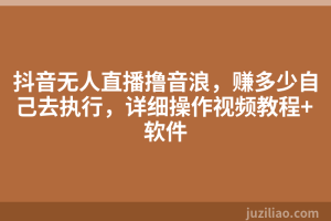 抖音无人直播撸音浪，赚多少自己去执行，详细操作视频教程+软件