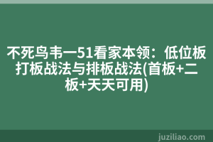 不死鸟韦一51看家本领：低位板打板战法与排板战法(首板+二板+天天可用)