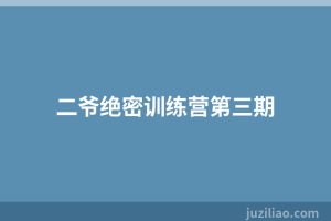 二爷绝密训练营第三期