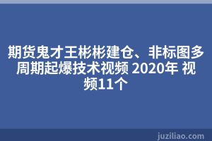 期货鬼才王彬彬建仓、非标图多周期起爆技术视频 2020年 视频11个