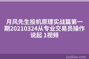 月风先生投机原理实战篇第一期20210324从专业交易员操作说起 1视频