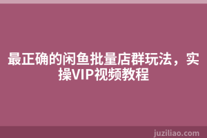 最正确的闲鱼批量店群玩法，实操VIP视频教程