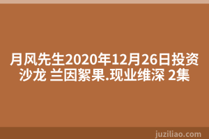 月风先生2020年12月26日投资沙龙 兰因絮果.现业维深 2集