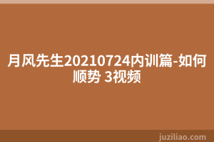 月风先生20210724内训篇-如何顺势 3视频