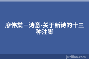 廖伟棠－诗意-关于新诗的十三种注脚