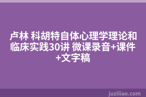 卢林 科胡特自体心理学理论和临床实践30讲 微课录音+课件+文字稿