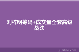 刘梓明筹码+成交量全套高级战法