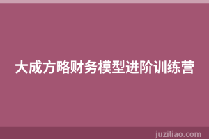 大成方略财务模型进阶训练营