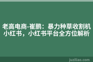 老高电商-崔鹏：暴力种草收割机小红书，小红书平台全方位解析