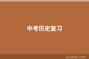 中考历史复习