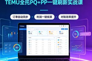 电商对账神器:TEMU 全托PQ+PP 一键刷新实战课