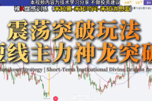 Joy交易进阶课程-千盘试炼，裸K盘感训练
