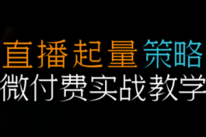 半野老师视频号直播带货起量与微付费实战教学,新手到进阶全流程