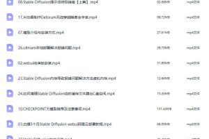 starai StableDiffusion ai绘画系统课程【画质不错只有视频】