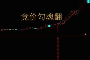【指标】通达信【竞价勾魂幡】副图排序/选股指标 集合竞价短线低吸 高…