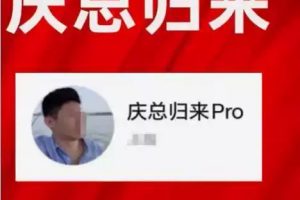 庆总归来PRO情绪周期课程 卢朝庆陪伴社