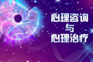 訾非 心理咨询与治疗案例解析