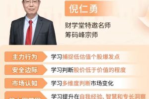 倪仁勇筹码峰跟庄战法小班课+资料工具指标