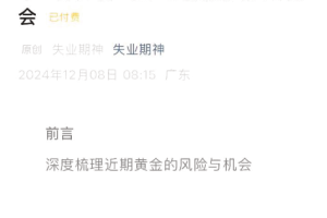 失业期神12.8付费文-十二月必读：黄金的投资风险与机会