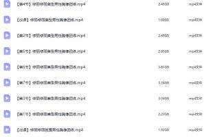 修丽修丽美型男性胸像团练2026【画质高清有课件】