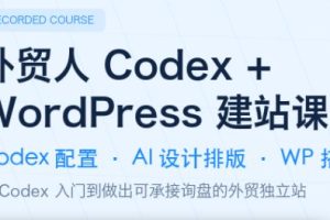 大卫·外贸人Codex+WordPress建站课（更新8月）