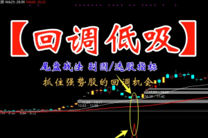 通达信【回调低吸】副图/选股 捕捉强势龙头 尾盘波段抄底思路 指标源码…
